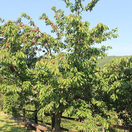 B&B Il Poggetto Serra SantʼAbbondio Екстериор снимка
