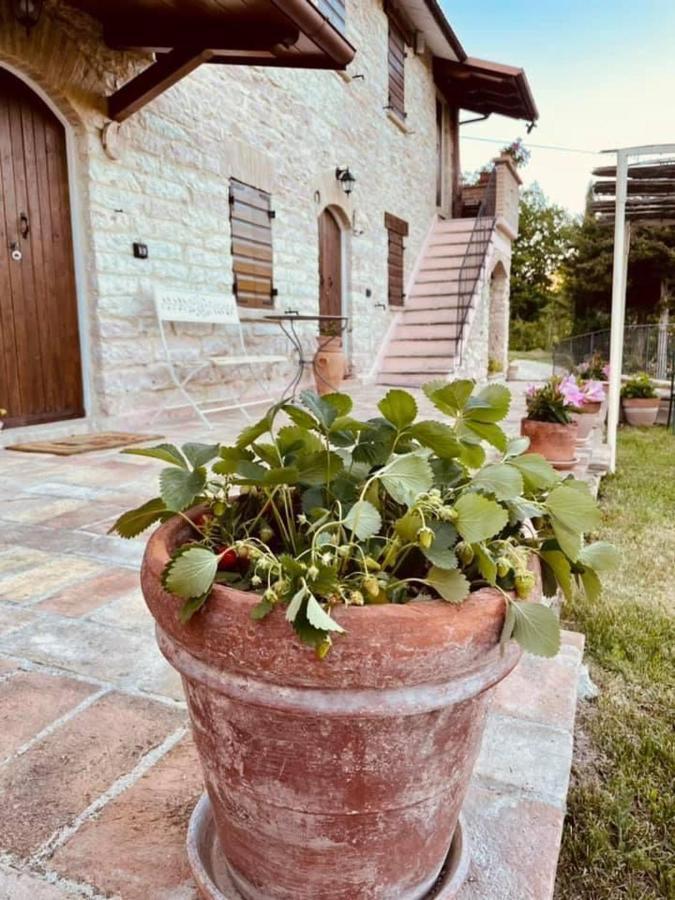 B&B Il Poggetto Serra SantʼAbbondio Екстериор снимка