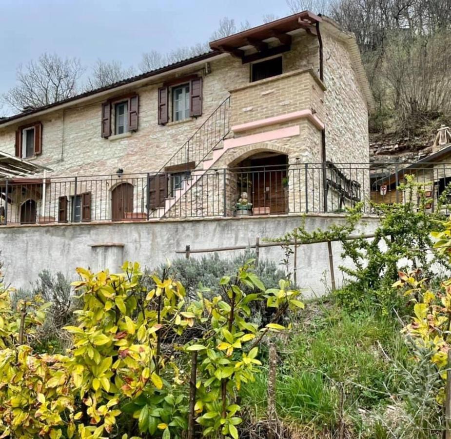 B&B Il Poggetto Serra SantʼAbbondio Екстериор снимка