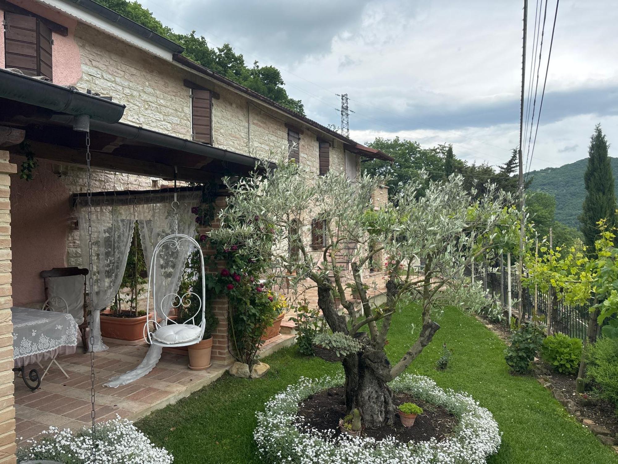 B&B Il Poggetto Serra SantʼAbbondio Екстериор снимка