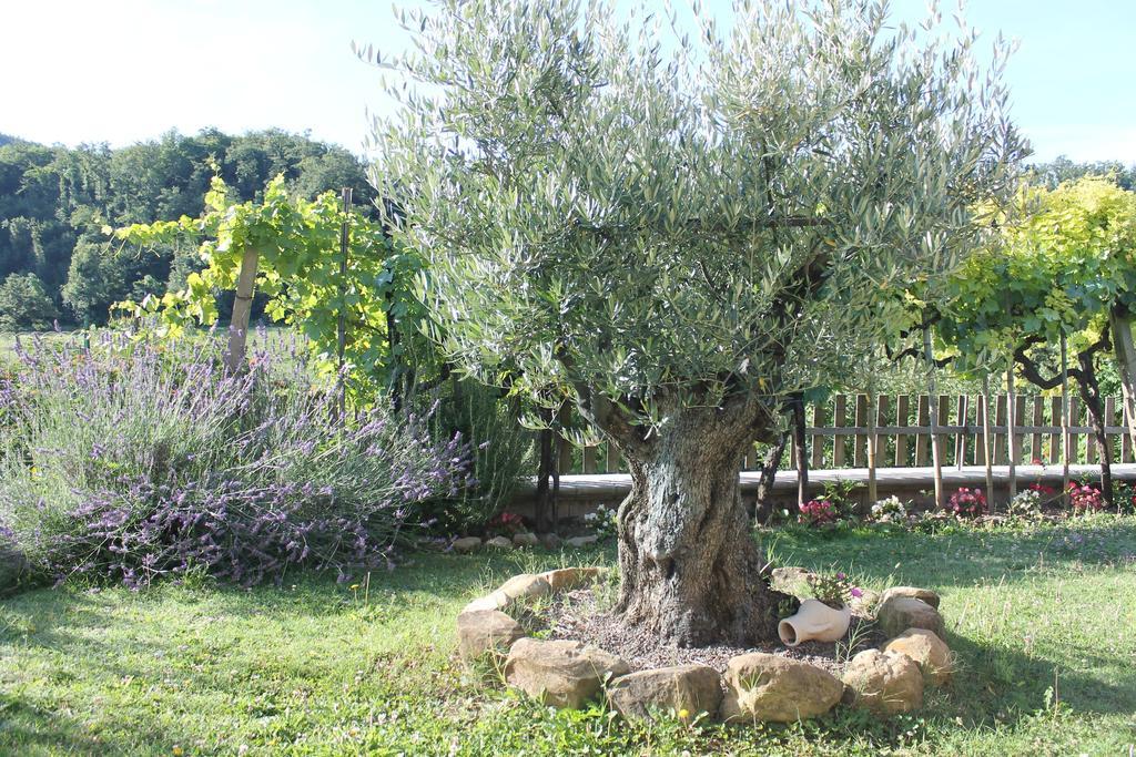 B&B Il Poggetto Serra SantʼAbbondio Екстериор снимка