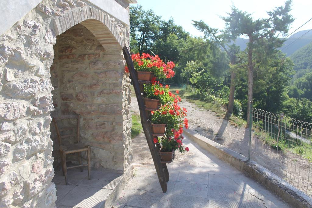 B&B Il Poggetto Serra SantʼAbbondio Екстериор снимка